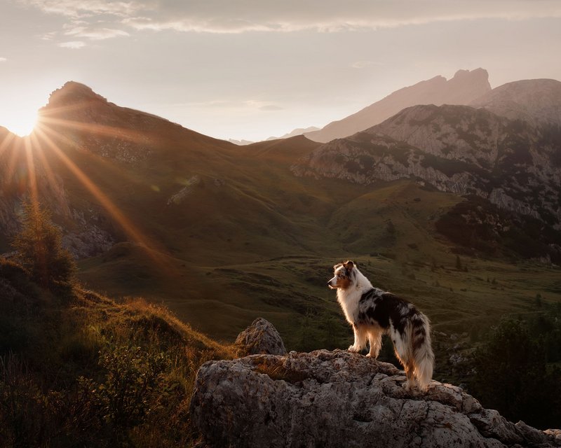 Lechs Berge Sommer