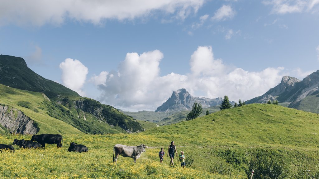 Family time at the Arlberg People walking on a flower-covered alpine meadow with cows and mountains in the background